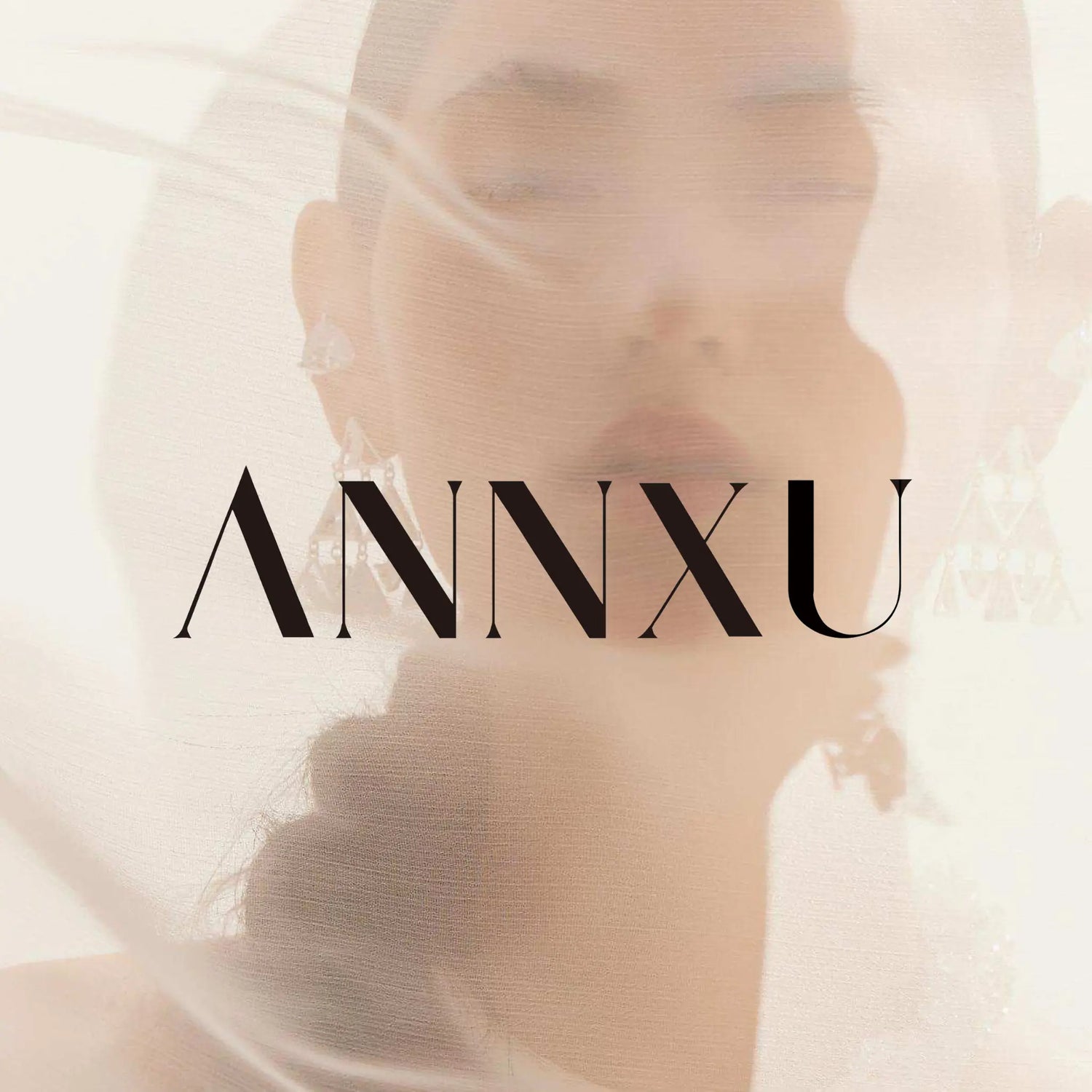 ANNXU-Empowering-Modern-Femininity-Sculptural-Jewelry-for-Bold-Women Debris